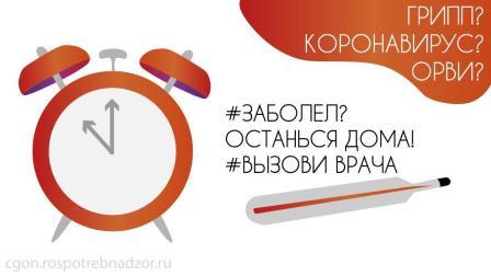 Грипп. Коронавирус. ОРВИ.