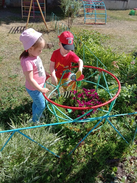 Наши летние дни